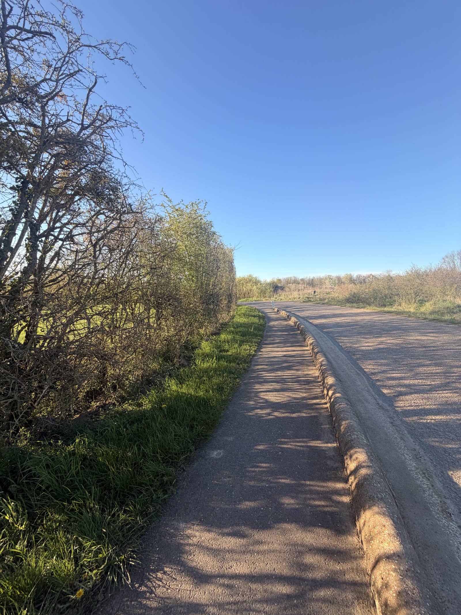Taille de haies route communale