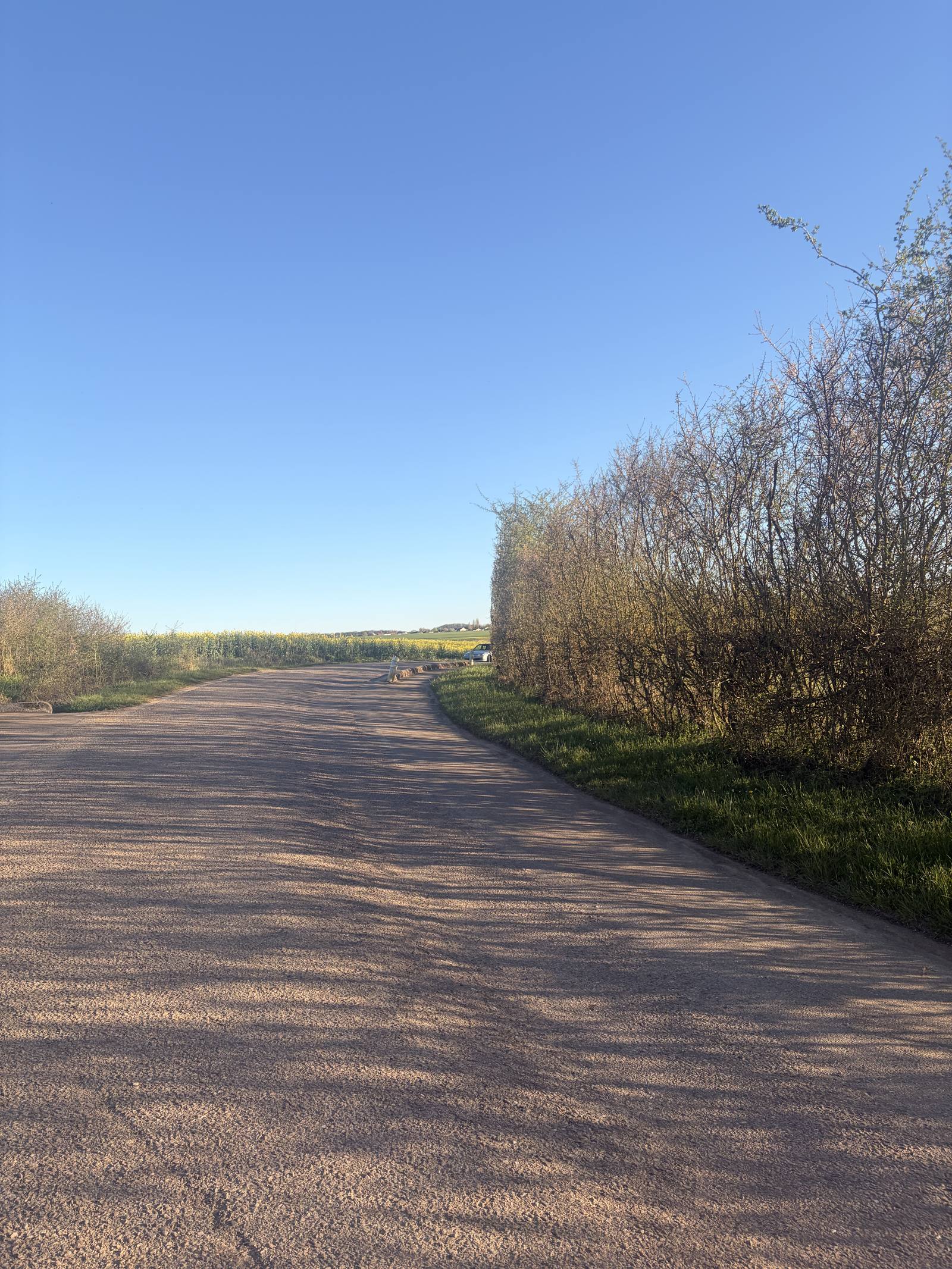 Taille de haies route communale